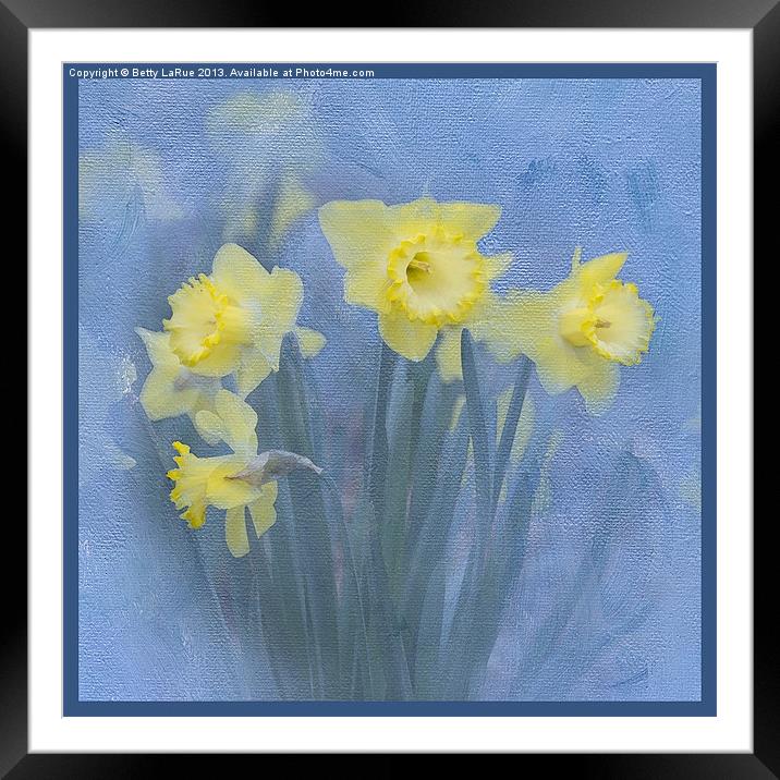 Daffodils in Blue Framed Mounted Print by Betty LaRue