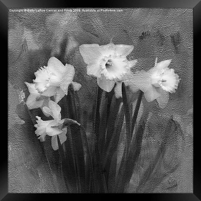 Daffodils in Black and White Framed Print by Betty LaRue