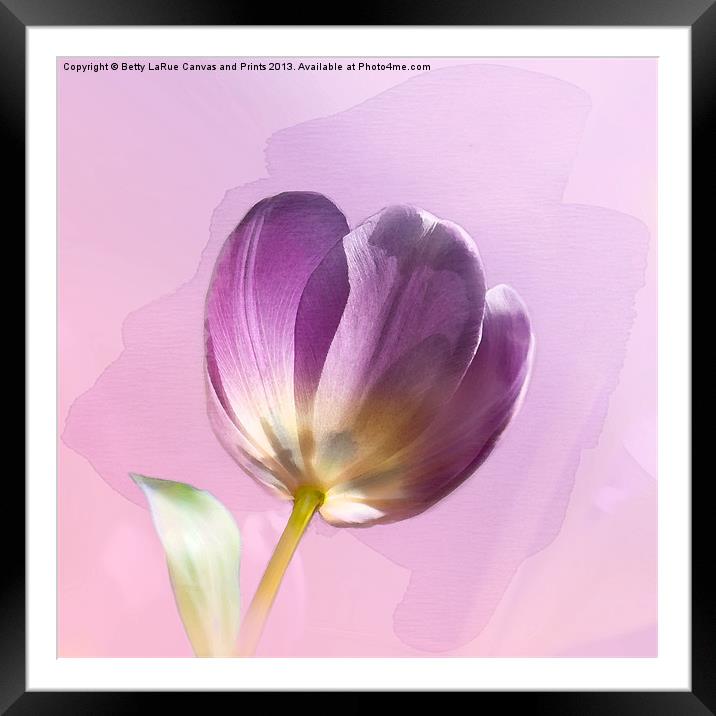 Blissfully Purple Framed Mounted Print by Betty LaRue
