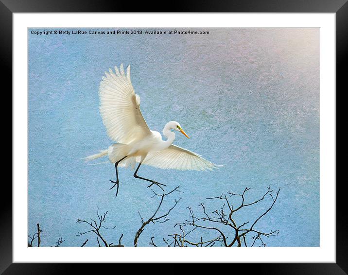 Sky Dancing Framed Mounted Print by Betty LaRue