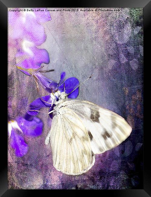 In The Purple Garden Framed Print by Betty LaRue