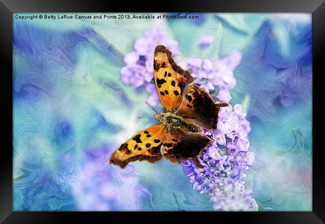 Golden Butterfly Framed Print by Betty LaRue