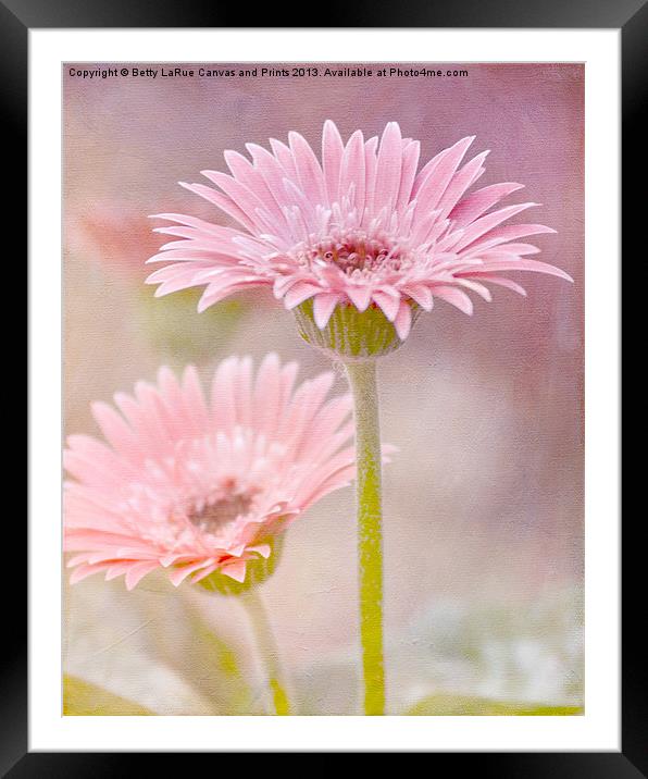Delightfully Pink Framed Mounted Print by Betty LaRue