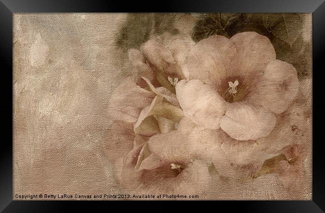 Trumpet Flowers # 1 Framed Print by Betty LaRue