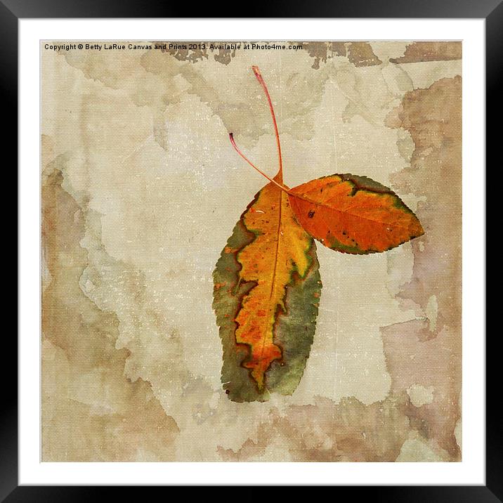 A Touch of Autumn #2 Framed Mounted Print by Betty LaRue