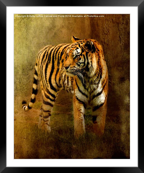 On The Hunt Framed Mounted Print by Betty LaRue