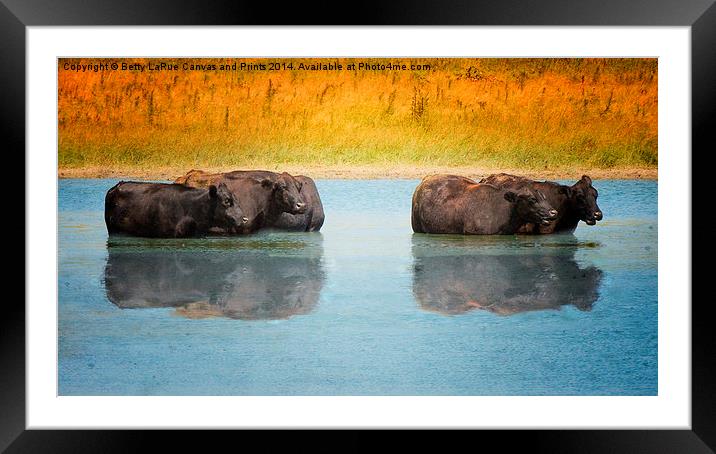 Hot Day Framed Mounted Print by Betty LaRue
