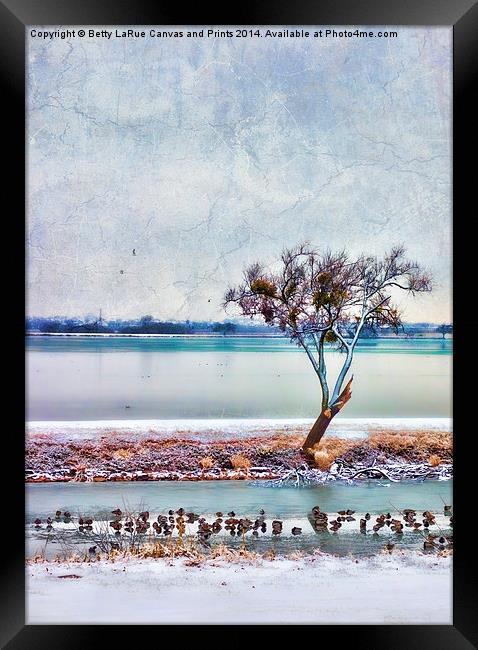 Duck Dynasty Framed Print by Betty LaRue