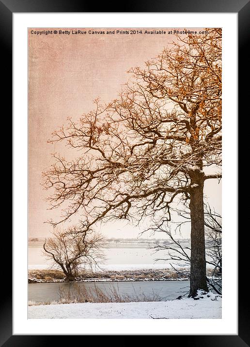 The Beauty of Winter Framed Mounted Print by Betty LaRue