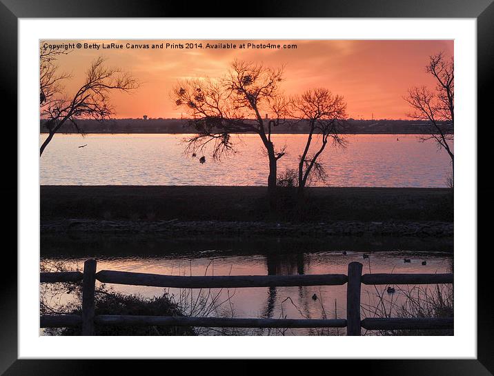 Sunset Silhouettes Framed Mounted Print by Betty LaRue