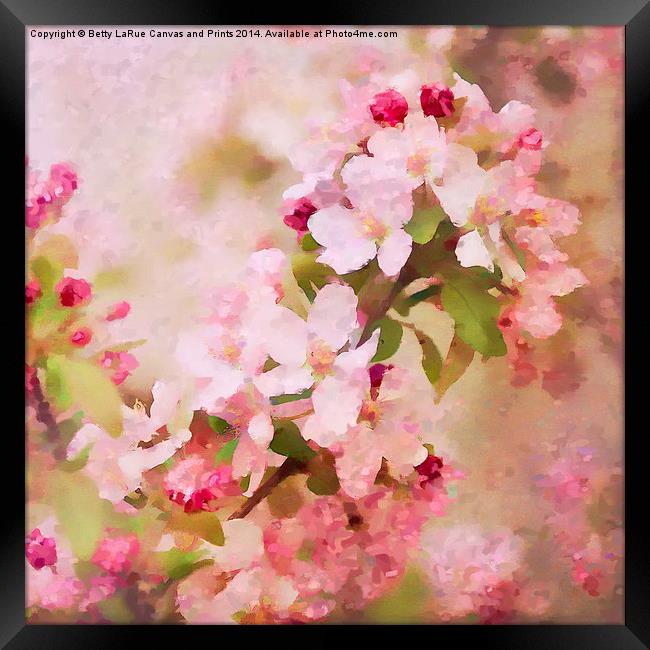 Spring Pink Framed Print by Betty LaRue