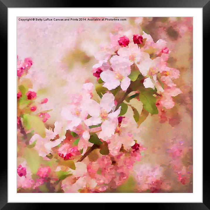 Spring Pink Framed Mounted Print by Betty LaRue