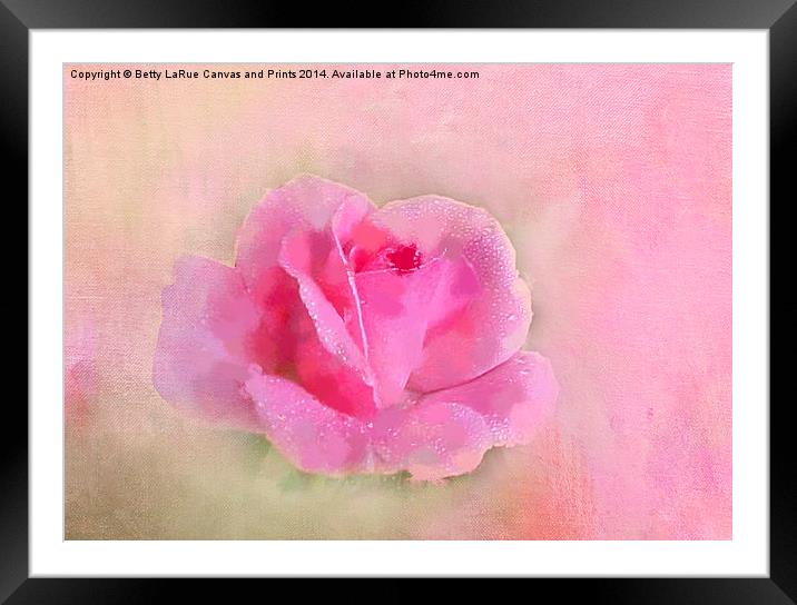 Gentle On My Mind Framed Mounted Print by Betty LaRue