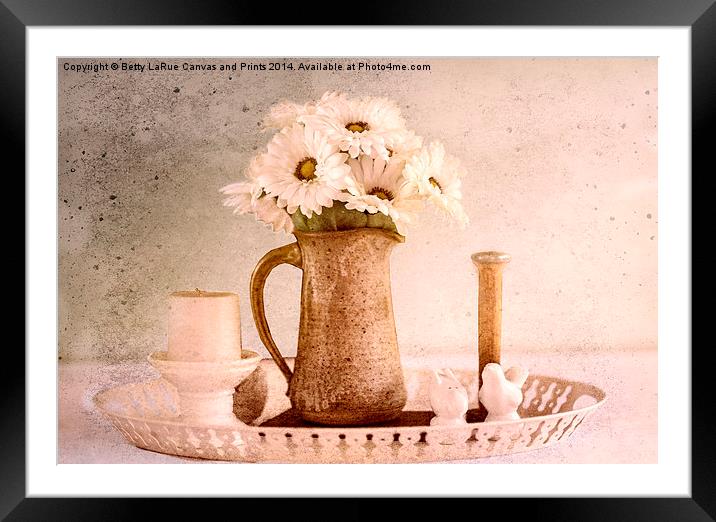 Daisies Framed Mounted Print by Betty LaRue