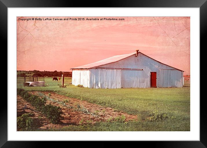  The Red Door Framed Mounted Print by Betty LaRue