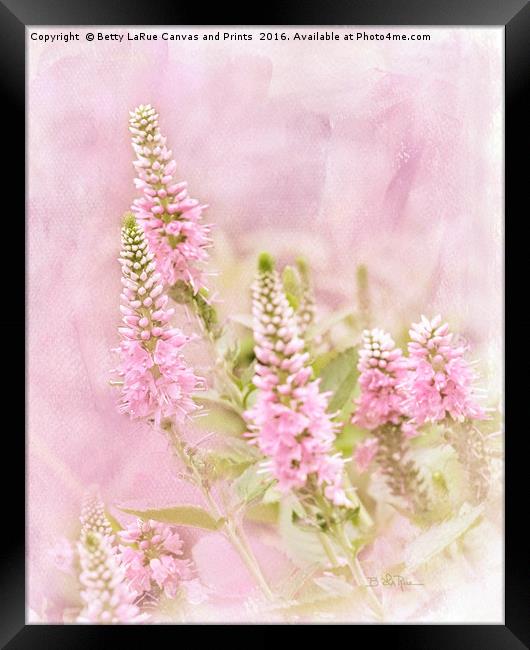 Beautilicious Framed Print by Betty LaRue