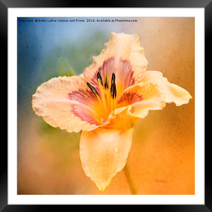 Luminosity Framed Mounted Print by Betty LaRue