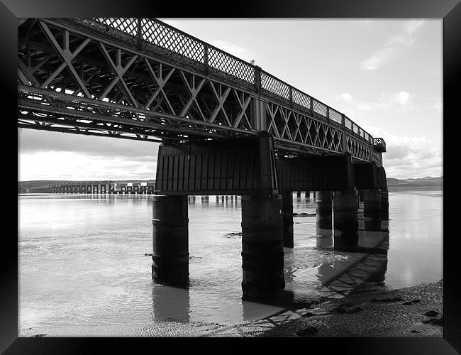 Tay Rail Bridge Framed Print by Lisa Taylor