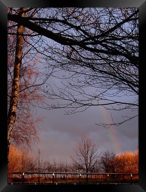 Rainbow Skys Framed Print by Lucy Courtney