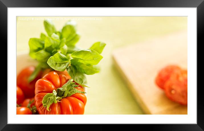  Simply Tomatoes 2 Framed Mounted Print by Corrine Weaver