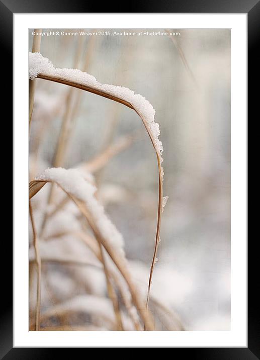 Winter snow 2  Framed Mounted Print by Corrine Weaver
