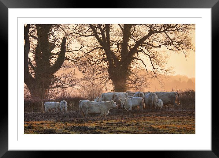 Weston Subedge Framed Mounted Print by Andrew Roland