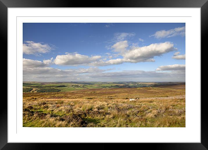 Stainton Moor Framed Mounted Print by Andrew Roland
