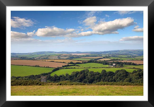 Cornish Landscape Framed Print by Andrew Roland