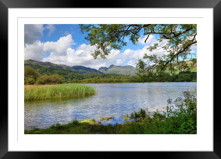 Elterwater Framed Mounted Print by Andrew Roland