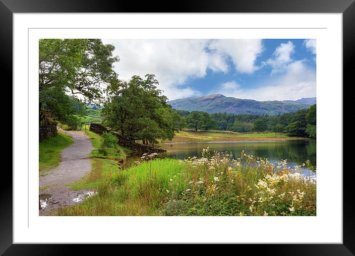 Rydal Water Framed Mounted Print by Andrew Roland