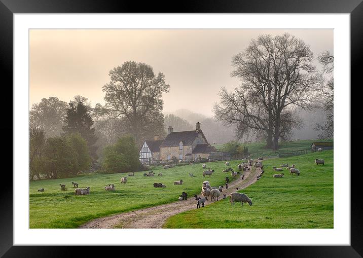 Cotswold Misty Morning Framed Mounted Print by Andrew Roland
