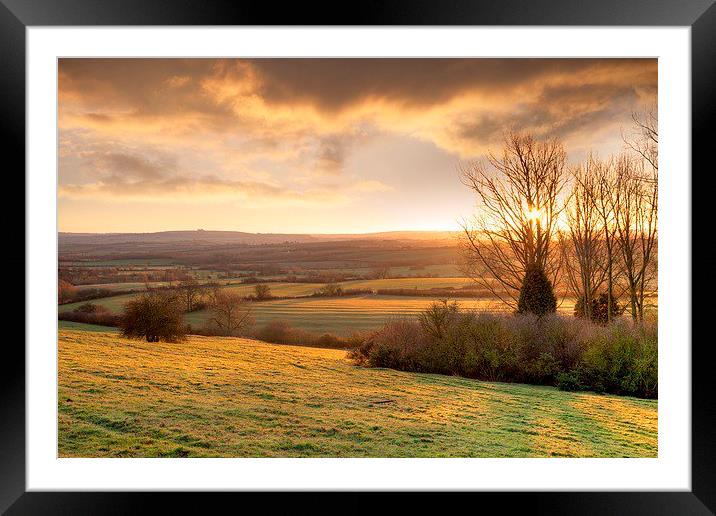 Golden winters morning, England Framed Mounted Print by Andrew Roland