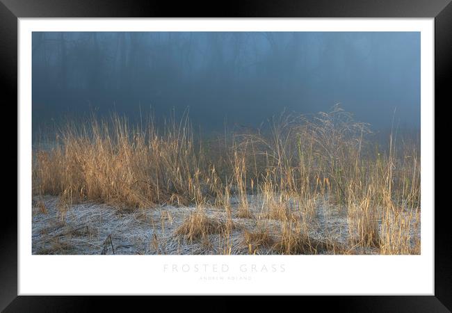 Frosted Grass Framed Print by Andrew Roland