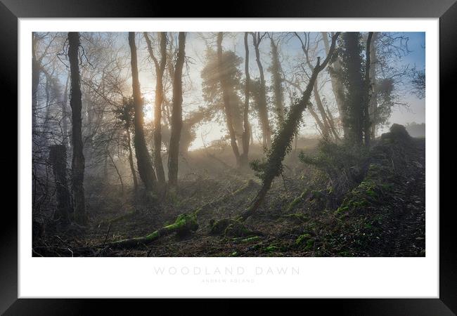 Woodland Dawn Framed Print by Andrew Roland