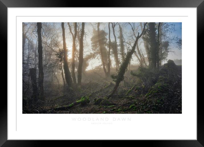 Woodland Dawn Framed Mounted Print by Andrew Roland