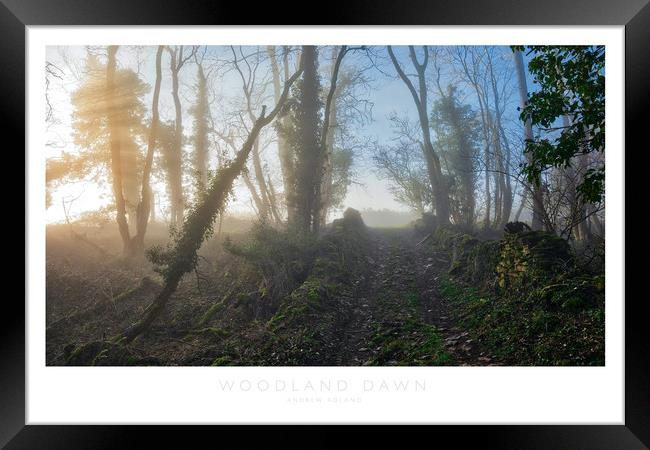Woodland Dawn Framed Print by Andrew Roland