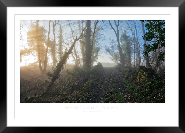 Woodland Dawn Framed Mounted Print by Andrew Roland