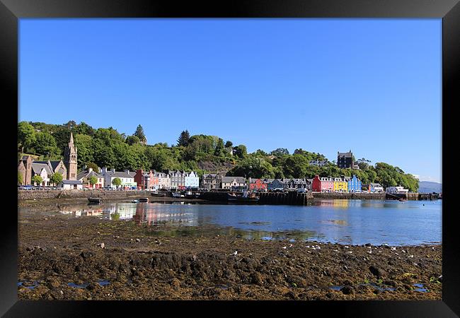 Tobermory Framed Print by James Marsden