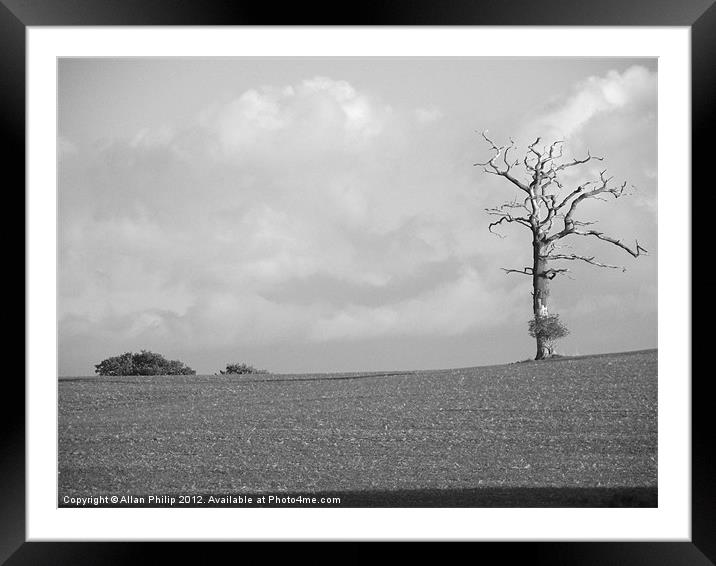 Dead Tree Bolney A272 Framed Mounted Print by Allan Philip