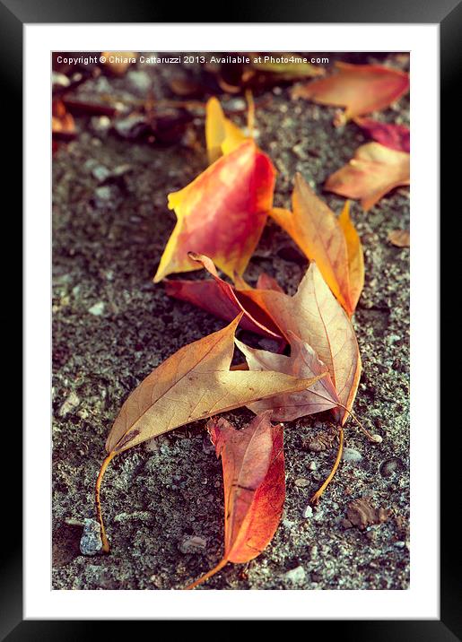 Fallen autumn Framed Mounted Print by Chiara Cattaruzzi