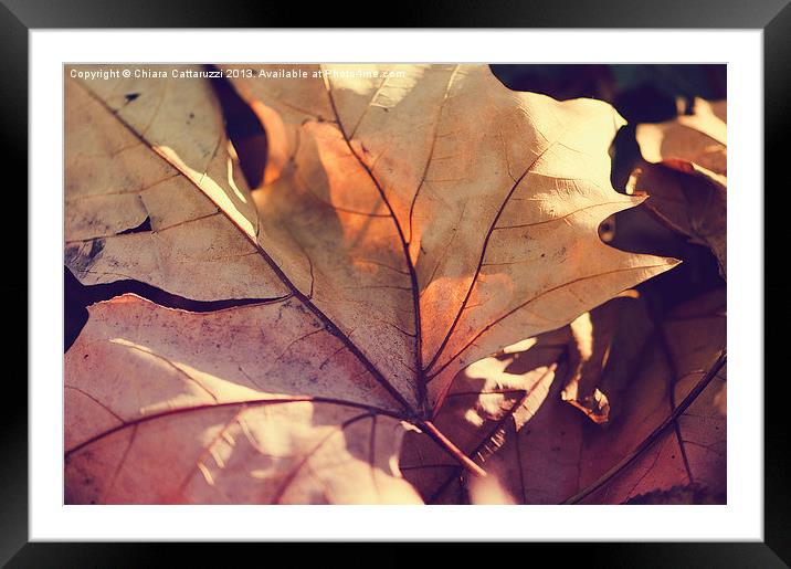 November leaf Framed Mounted Print by Chiara Cattaruzzi