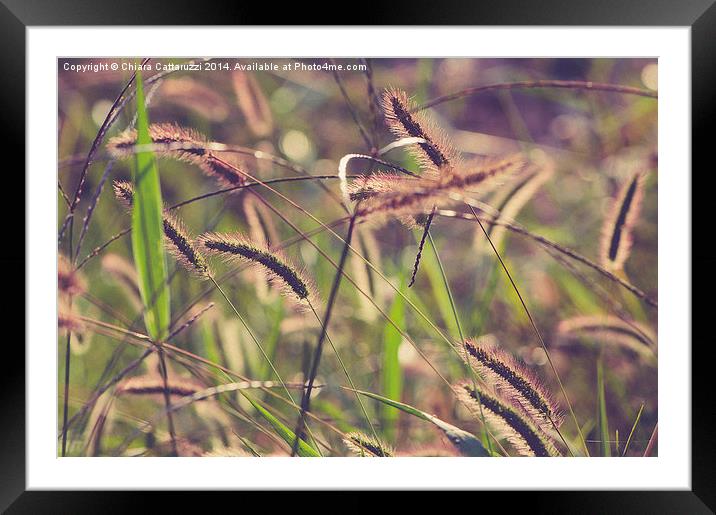  Summer nature Framed Mounted Print by Chiara Cattaruzzi