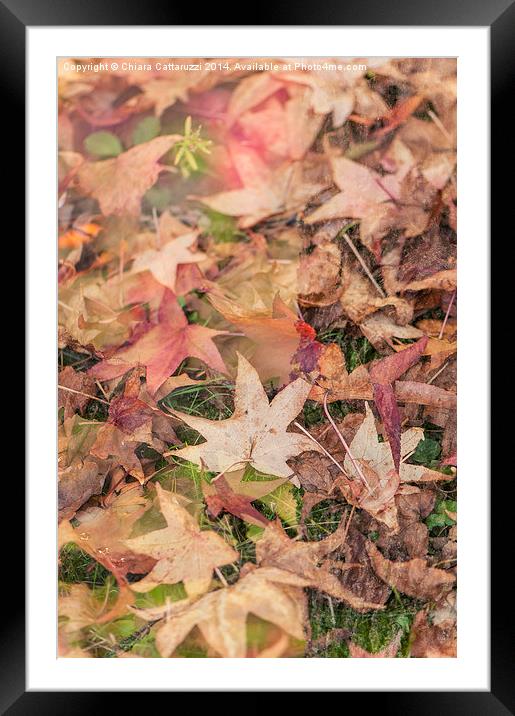  Magic autumn Framed Mounted Print by Chiara Cattaruzzi