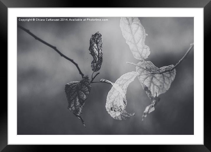  The magic of the double exposure Framed Mounted Print by Chiara Cattaruzzi