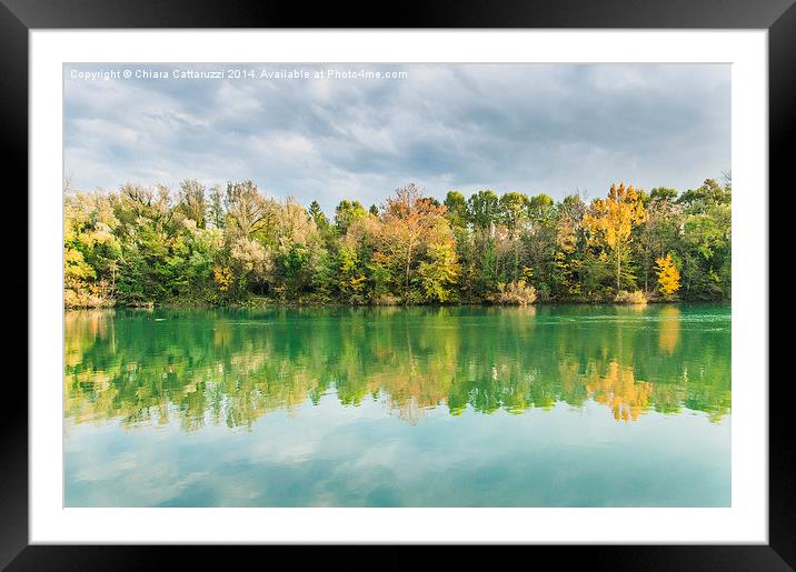  Trees and reflections Framed Mounted Print by Chiara Cattaruzzi