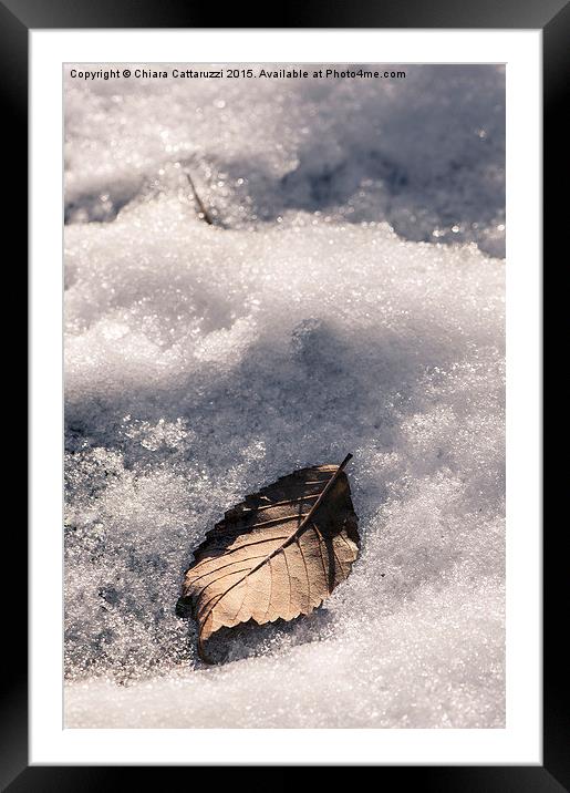  …in the white snow Framed Mounted Print by Chiara Cattaruzzi