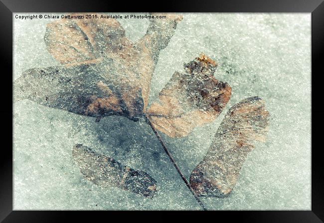  Frozen leaves Framed Print by Chiara Cattaruzzi