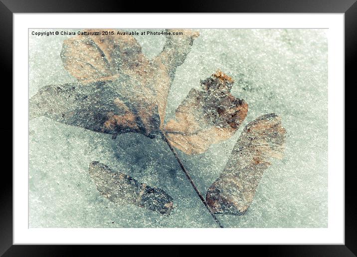  Frozen leaves Framed Mounted Print by Chiara Cattaruzzi