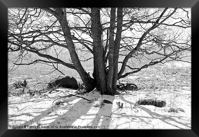 Tree in winter with shadow Framed Print by Kathleen Smith (kbhsphoto)