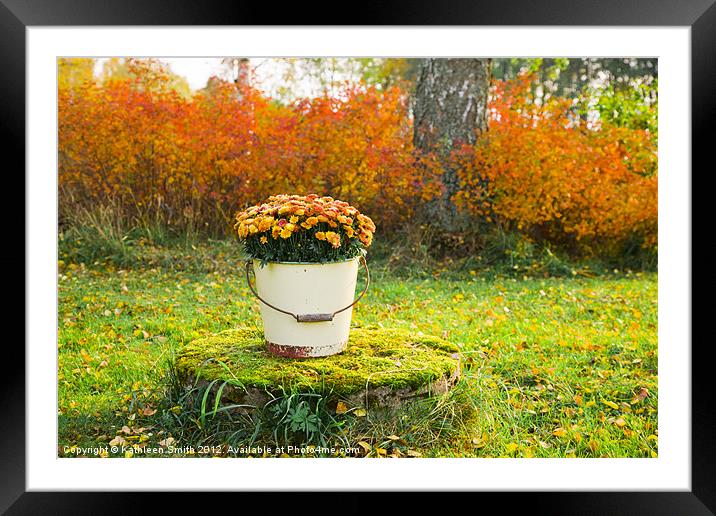 Orange Chrysanthemums in a bucket Framed Mounted Print by Kathleen Smith (kbhsphoto)